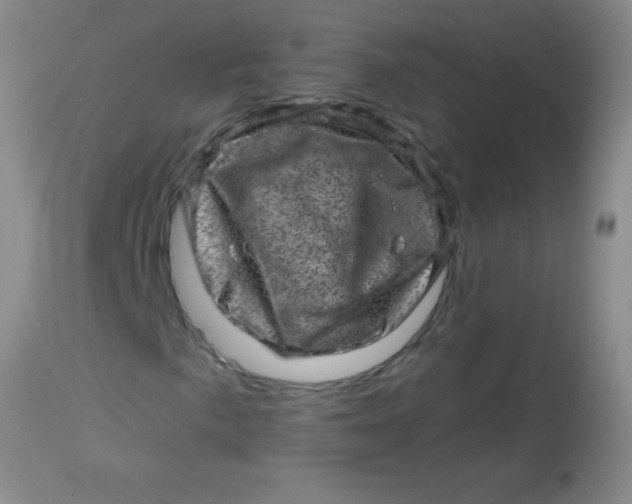 X0000113861057200910151231