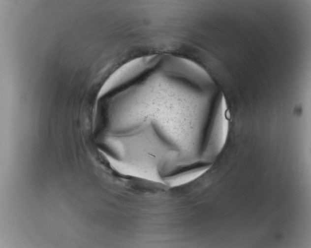 X0000113861058200910151231