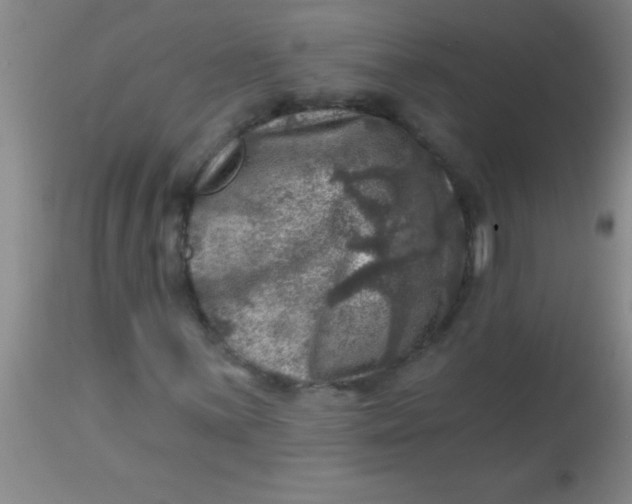 X0000113861059200910151231
