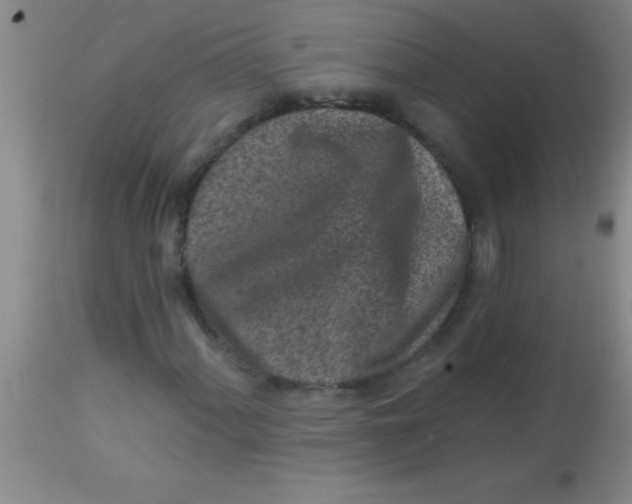 X0000113861060200910151231