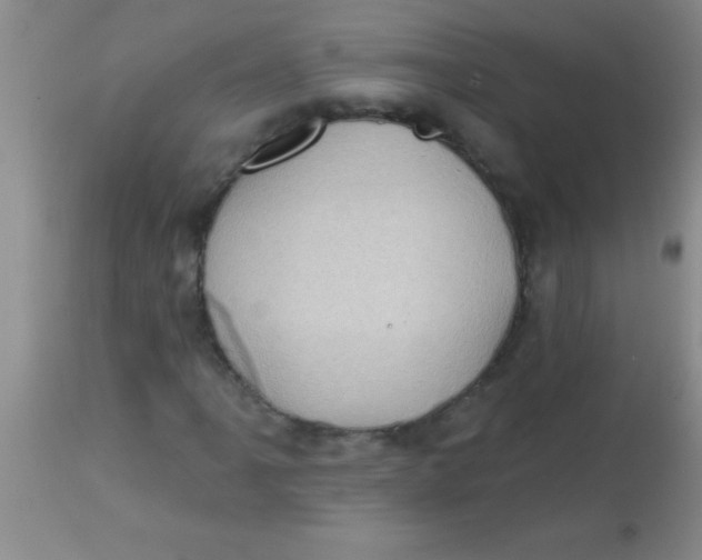 X0000113861061200910151231