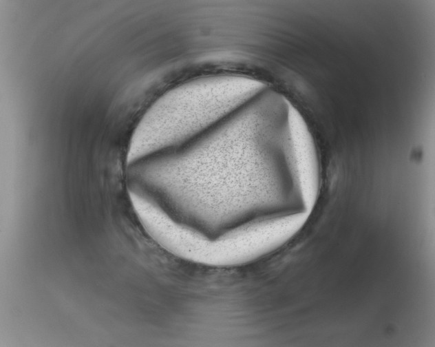X0000113861062200910151231