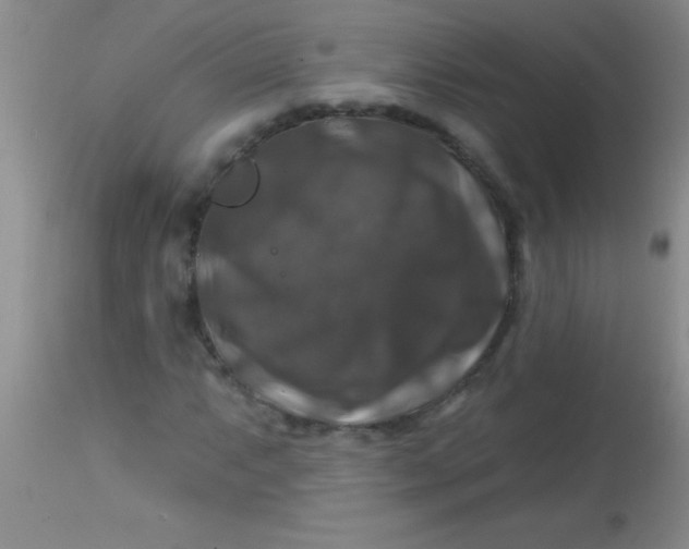 X0000113861063200910151231