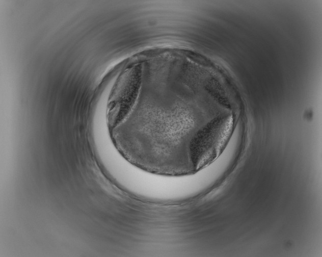 X0000113861065200910151231
