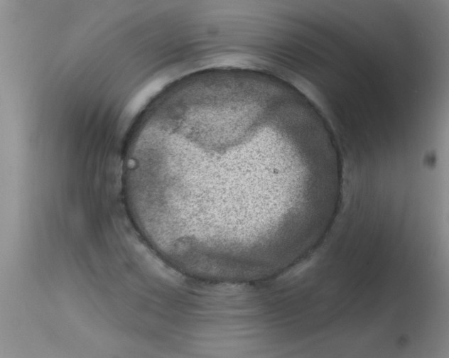 X0000113861067200910151231