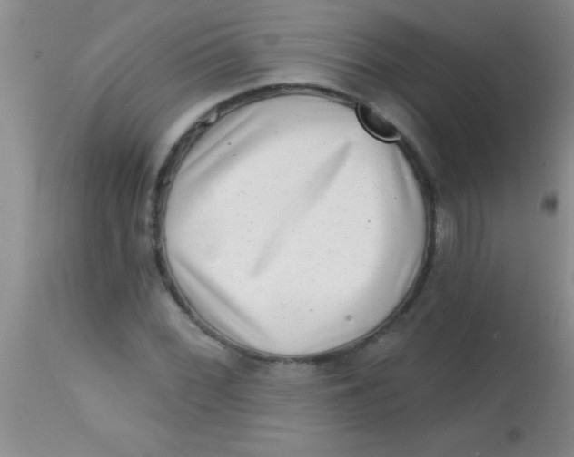 X0000113861068200910151231