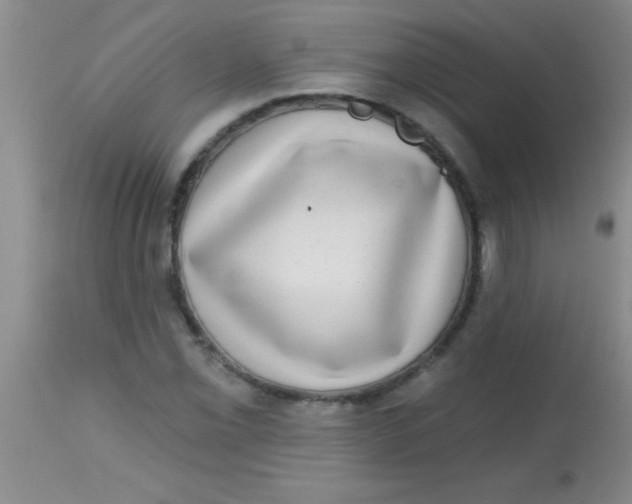 X0000113861069200910151231