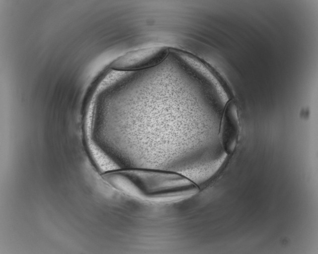 X0000113861072200910151231