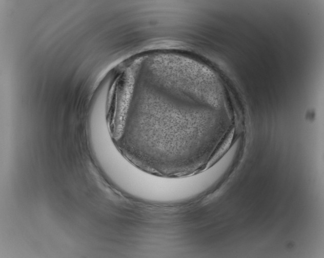 X0000113861073200910151231