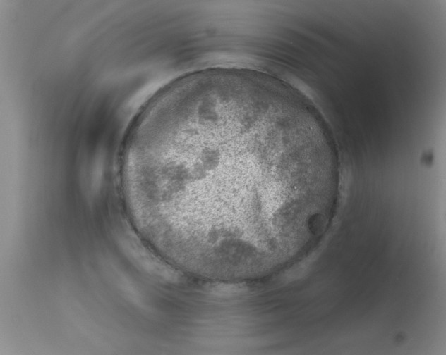 X0000113861074200910151231
