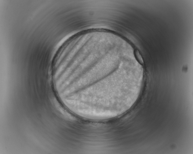 X0000113861076200910151231