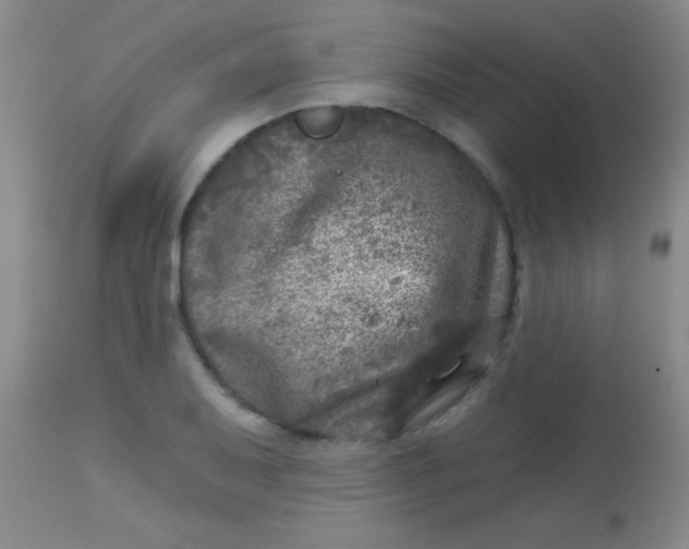 X0000113861079200910151231