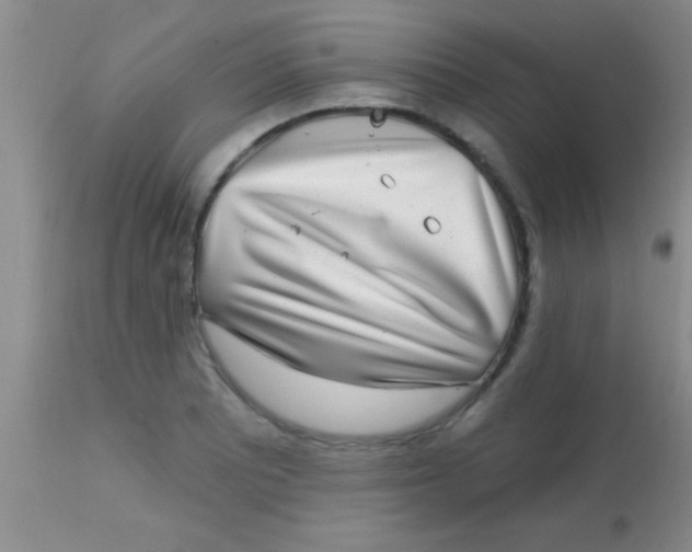 X0000113861081200910151231
