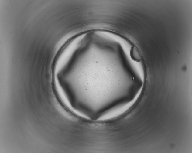 X0000113861082200910151231