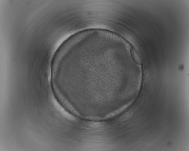 X0000113861084200910151230