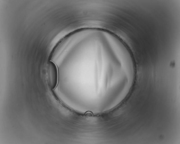 X0000113861085200910151230