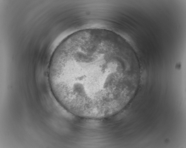 X0000113861086200910151230