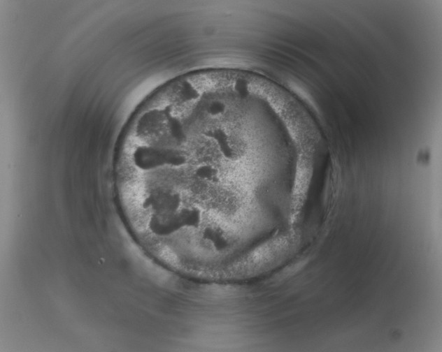 X0000113861087200910151230