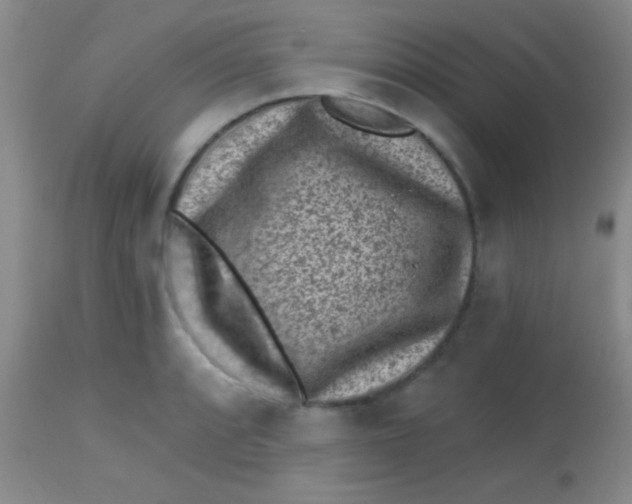 X0000113861088200910151230