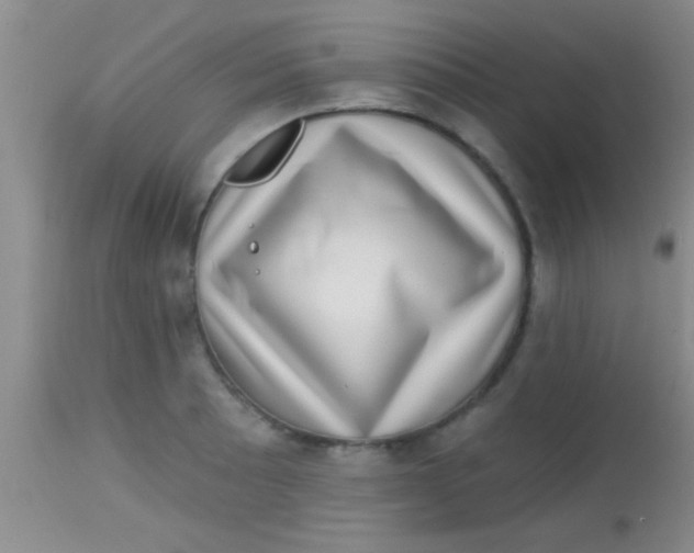X0000113861089200910151230