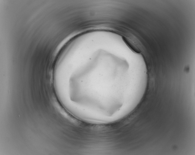 X0000113861092200910151230