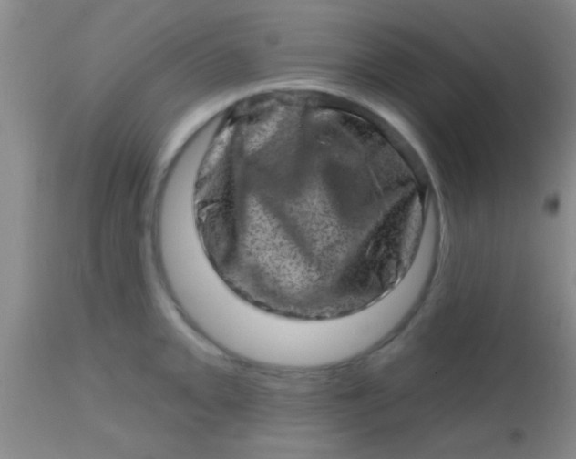 X0000113861093200910151230