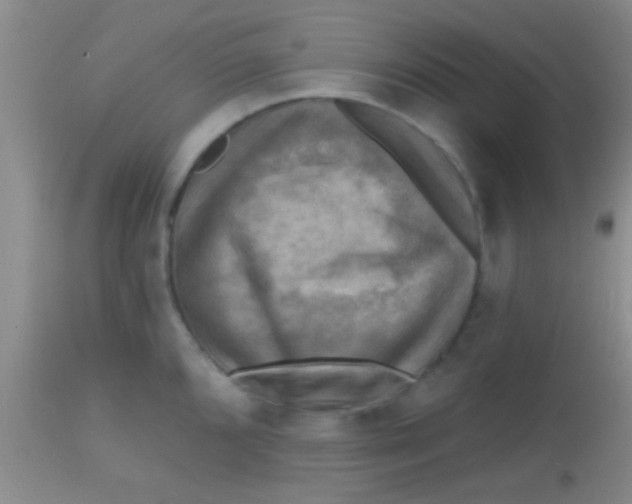 X0000113861096200910151230