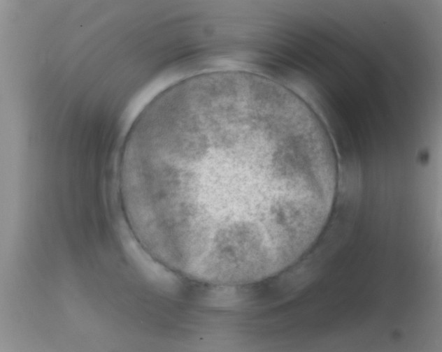 X0000113861098200910151230