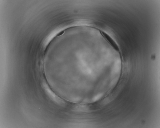 X0000113861101200910151230
