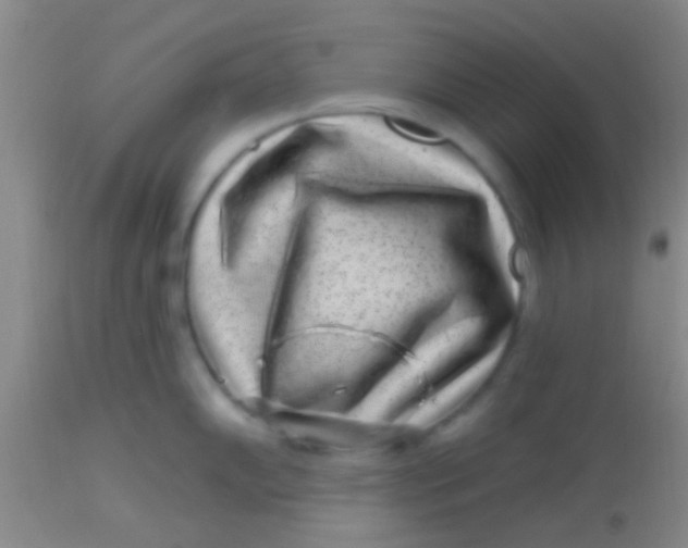 X0000113861102200910151230