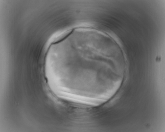 X0000113861104200910151230