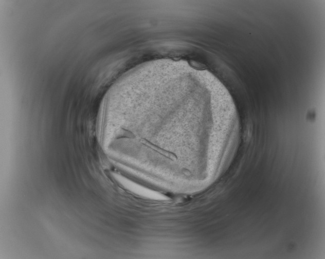X0000113861108200910151229
