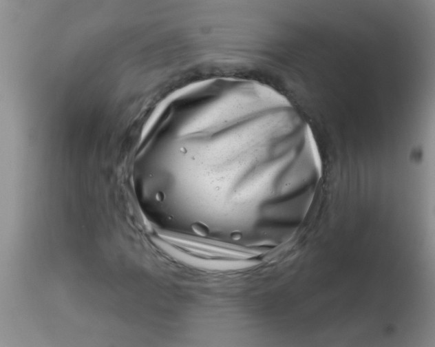 X0000113861109200910151229