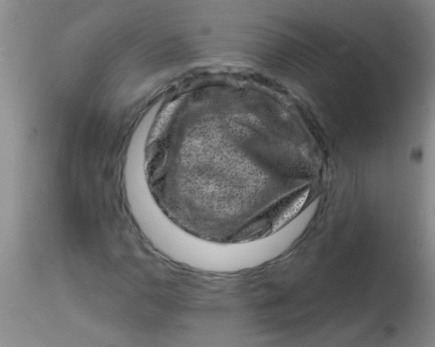 X0000113861110200910151229