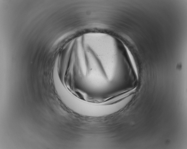 X0000113861112200910151229