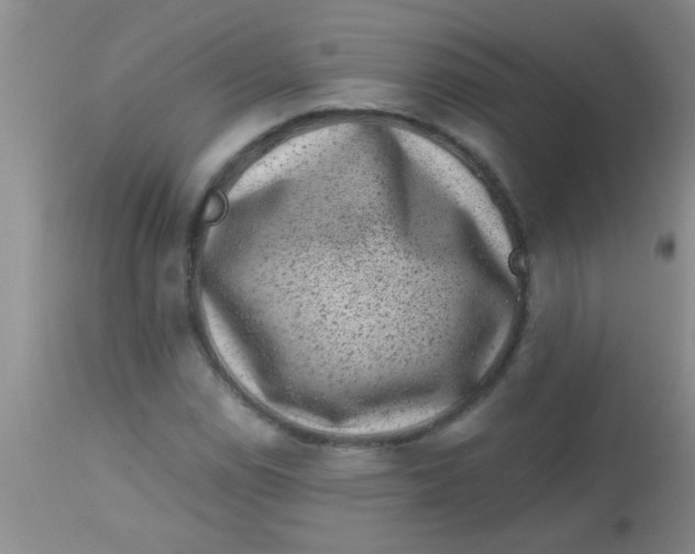 X0000113861114200910151229