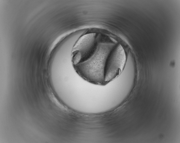 X0000113861116200910151229