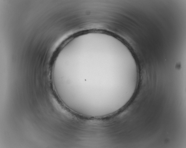 X0000113861118200910151229
