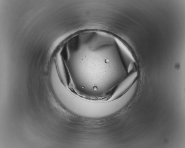 X0000113861120200910151229