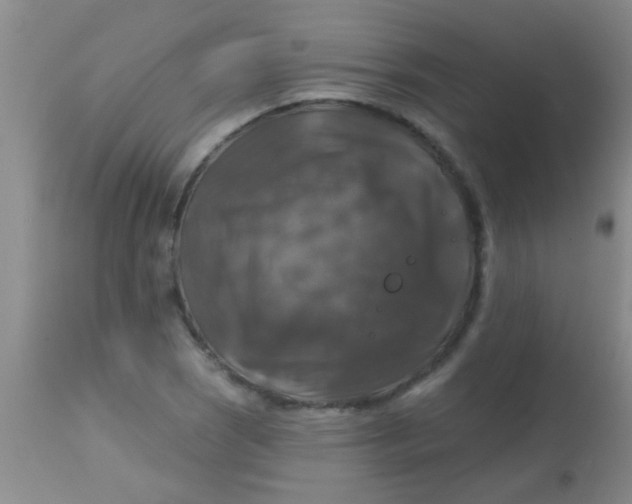 X0000113861121200910151229