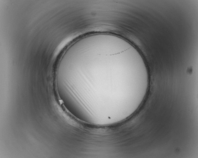 X0000113861122200910151229