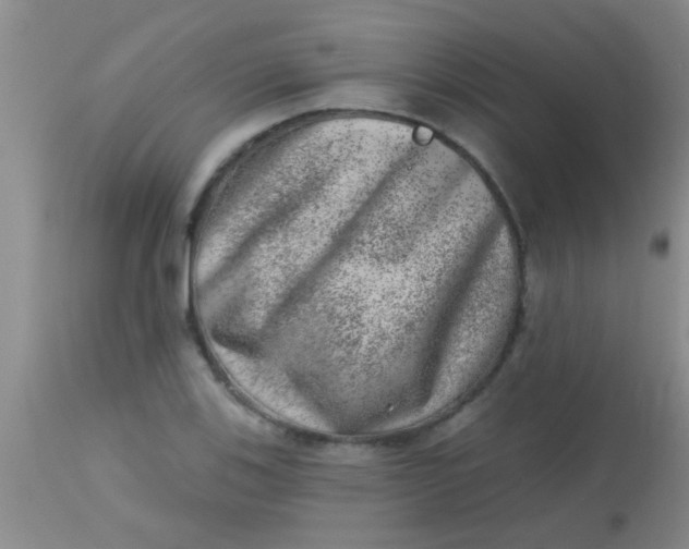 X0000113861123200910151229
