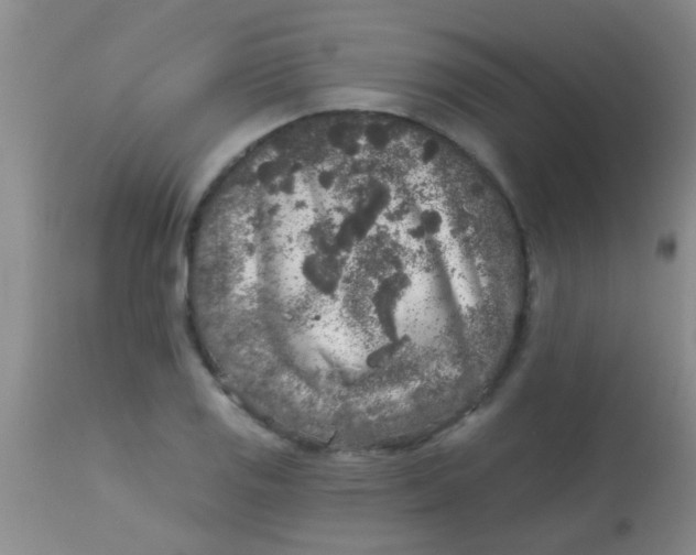 X0000113861125200910151230