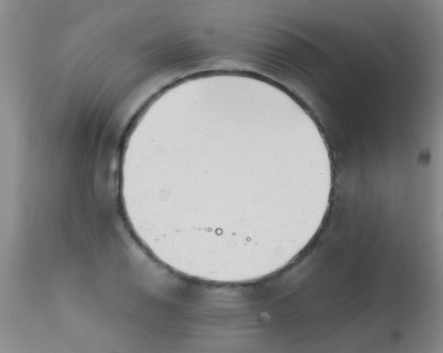 X0000113861126200910151230