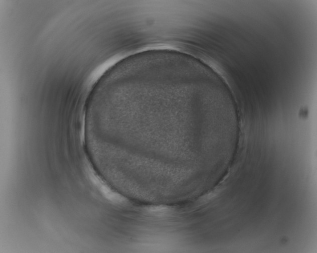 X0000113861127200910151230