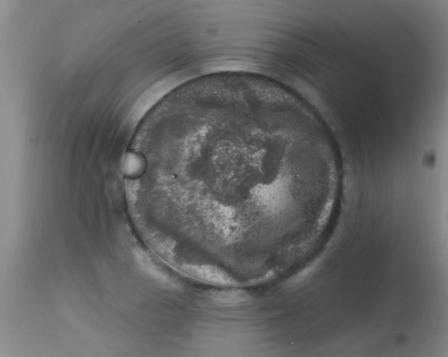 X0000113861129200910151230
