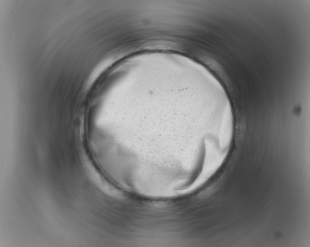 X0000113861130200910151230
