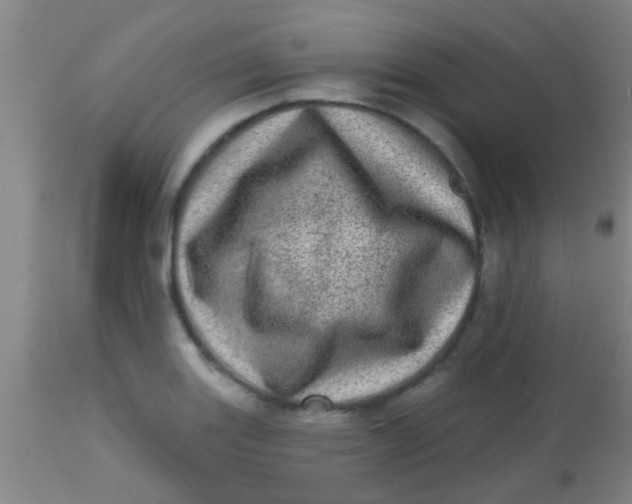 X0000113861131200910151230