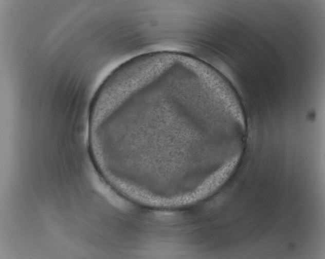 X0000113861132200910151230