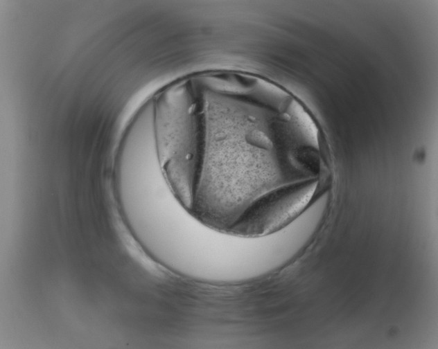 X0000113861136200910151230